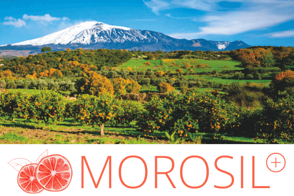 Morosil