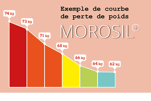 Courbe de perte de poids