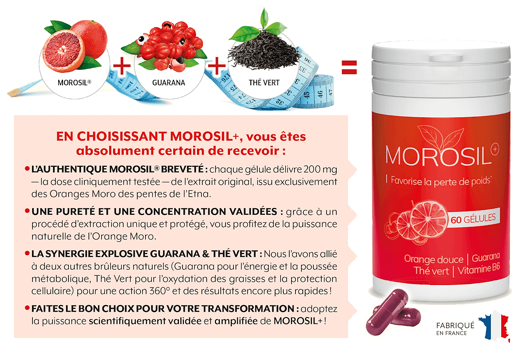 Bénéfices de Morosil